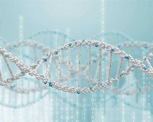 北京供卵靠谱吗,哪些项目暂未纳入北京医保报销范围2025年北京试管婴儿医保报销政策