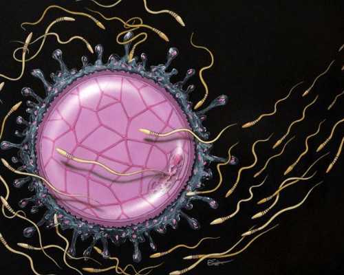 北京代怀孕口碑,北京试管婴儿一般费用是多少？北京正规试管婴儿医院哪家成功率高