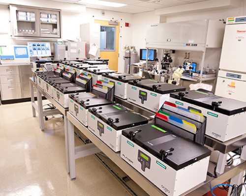 北京正规的代孕包成功,北京家圆山东试管婴儿网址,北京家圆山东试管婴儿服务网址 北京正规的代孕包成功,北京家圆山东试管婴儿网址,北京家圆山东试管婴儿服务网址