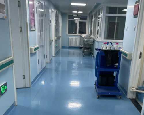 2025年鱼肝油排行榜，挪威小鱼、汤臣倍健挤进前十