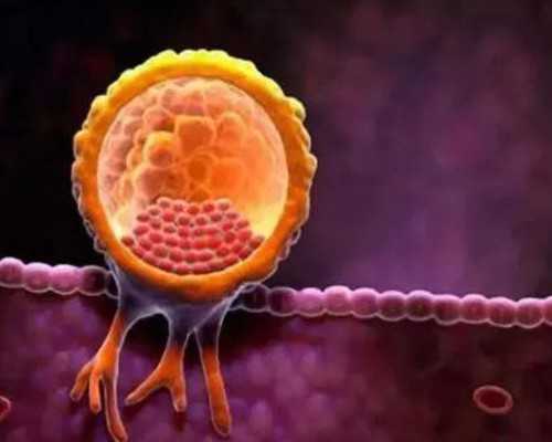 北京试管代怀医院,北京哪家医院做试管比较好,北京哪家医院做试管婴儿比较好 北京试管代怀医院,北京哪家医院做试管比较好,北京哪家医院做试管婴儿比较好