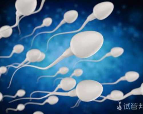 北京代孕套餐方案,北京2025试管助孕包成功医院有哪些？附北京16家医院详细介绍