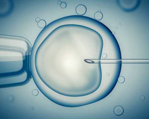 北京代孕找哪家医院,北京做试管附近吃住,北京试管婴儿:附近的优质住宿和美食,助您好孕! 北京代孕找哪家医院,北京做试管附近吃住,北京试管婴儿:附近的优质住宿和美食,助您好孕!