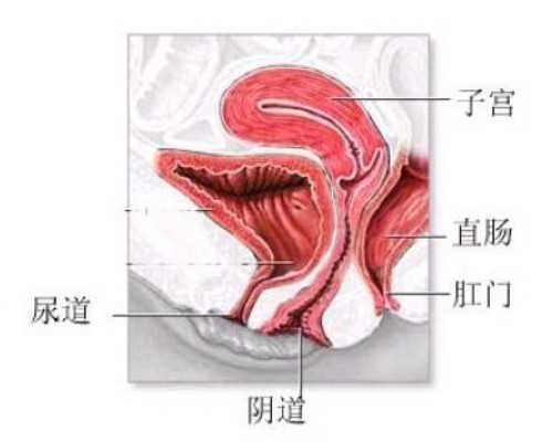 北京代孕公司,北京能做三代试管婴儿的医院有哪些？北京大学第三医院上榜