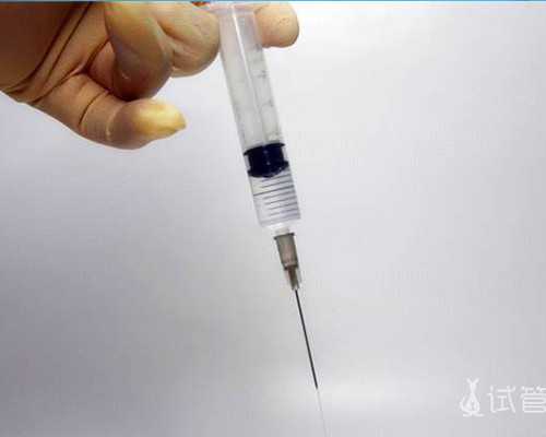 北京供卵哪里靠谱,北京家恩德运供卵的费用 北京供卵哪里靠谱,北京家恩德运供卵的费用