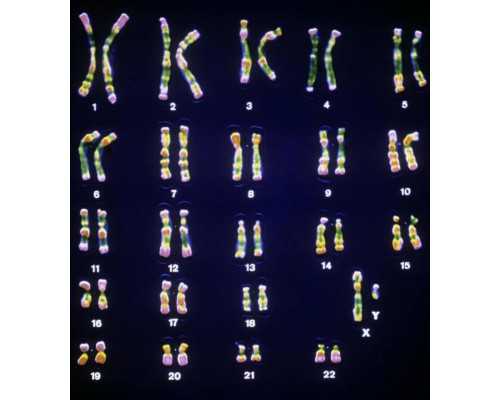 北京借卵去哪做,2025北京三代试管选男孩医院排名最新多少钱