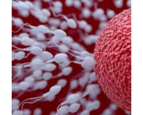 北京代生机构排名,北京北医三院试管咨询