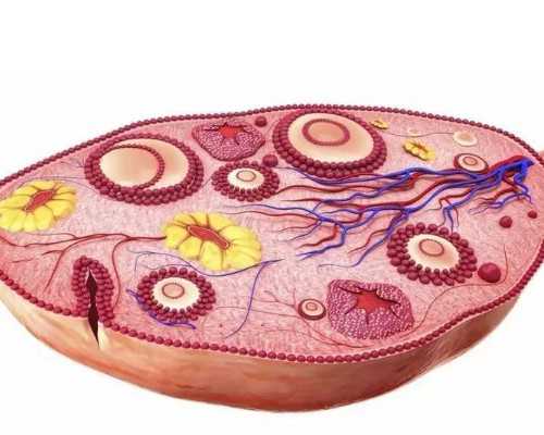 吉安妇幼保健院试管婴儿价目表，2025助孕费用明细参考