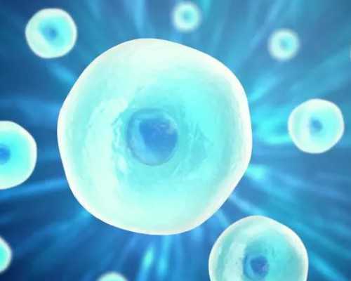 amh0.05生育方式大比拼,自然怀孕vs试管婴儿优缺点 amh0.05生育方式大比拼,自然怀孕vs试管婴儿优缺点