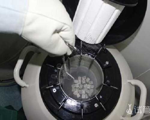 北京代怀孕公司吗,试管婴儿咨询北京家圆