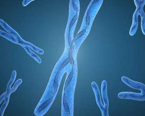 北京代生公司有吗,北京试管婴儿做的最好