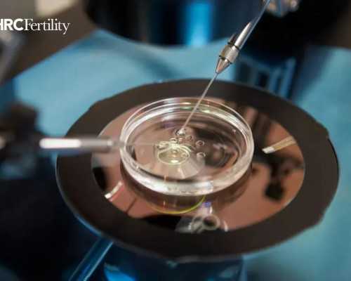 北京知名代怀网,北京哪些私立试管医院可以做供卵试管北京试管婴儿费用要多少