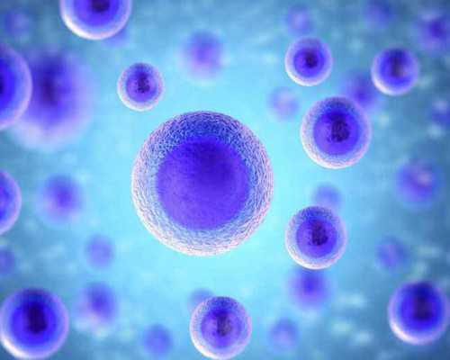 2025甘肃能做无子宫试管选性别的医院排名?附详细医院介绍? 2025甘肃能做无子宫试管选性别的医院排名?附详细医院介绍?