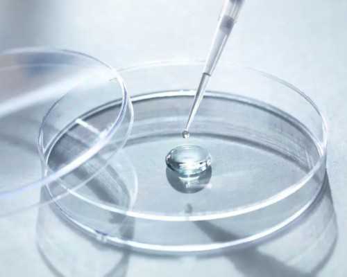 试管婴儿取卵过程中哪些因素会影响取卵数量？