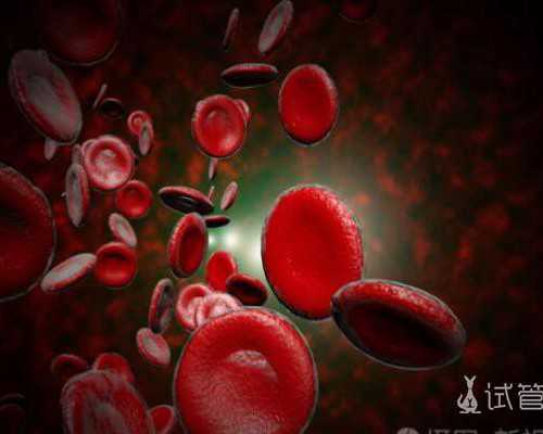 北京供卵包生,北京哪里有捐精的地方