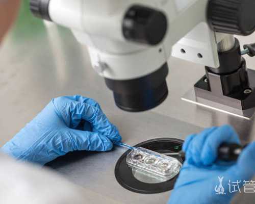 北京代怀包选性别,北京哪家医院可以做供卵试管?附北京供卵试管医院技术介绍 北京代怀包选性别,北京哪家医院可以做供卵试管?附北京供卵试管医院技术介绍