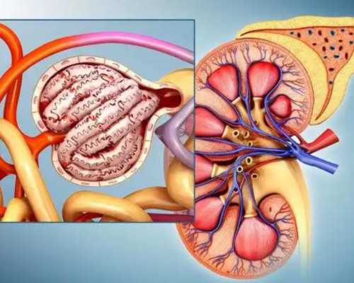 北京代怀妈妈咨询,北京协和医院试管费用多少？北京新生儿社保办理流程是怎样的？