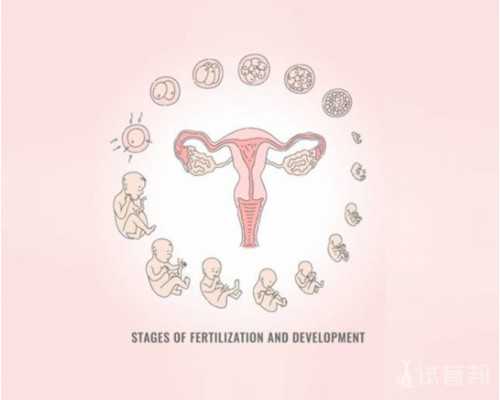 北京公司代怀产子,北京协和医院供卵试管的成功率怎样？北京协和供卵试管攻略