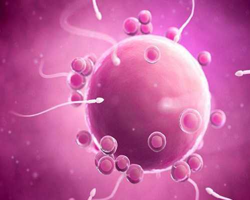 北京试管代孕医院官网,北京家圆医院做试管哪个医生好，北京家圆医院试管医生介绍