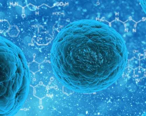 牛仔店名字创意，牛仔店