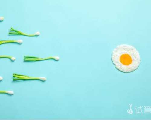 北京代怀试管生子,北京三代试管生男孩价格要多少？北京那个医院做试管成功率很高？