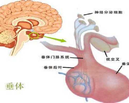 北京代怀医院微信,北京私立试管医院生男孩是真的吗？北京私立试管医院名单