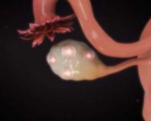 北京试管婴儿医院,北京全面开放三胞胎政策的消息是真的吗？2025北京最新三胎政策？