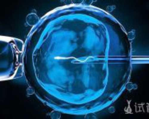 北京单身代怀,在北京做试管婴儿费用贵吗?北京海军总医院做三代试管怎么样