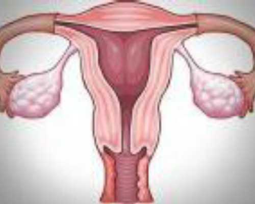 北京借卵网,北京正规的供卵试管机构有哪些？北京正规供卵试管机构名单一览