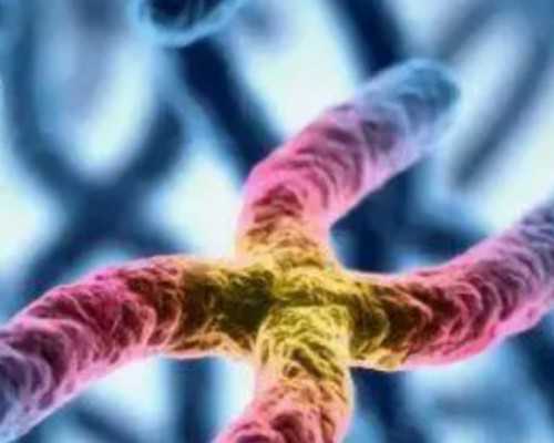 2025郑州没有子宫做试管选性别医院排名?附详细介绍? 2025郑州没有子宫做试管选性别医院排名?附详细介绍?