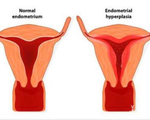 北京专业借卵生子,北京三院三代试管一次成功的几率有多大？附北京三院试管婴儿费用