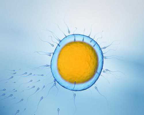 泰国康民国际Bumrungrad医院导航，曼谷试管婴儿风向标