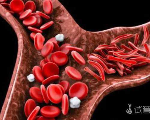 北京专业代孕公司,北京军区总医院试管怎么样,北京军区总医院试管婴儿成功率怎么样