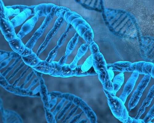 北京哪家供卵快,北京试管婴儿医院排名前十如何提高北京试管婴儿成功率？