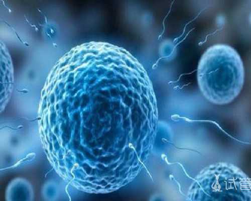 北京找寻代孕公司,北京哪家医院做人工授精好,请问在北京做人工授精哪家医院好