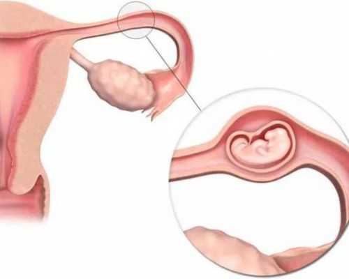 北京供卵机构,北京哪家私人医院做试管好,北京私立医院哪家做试管婴儿好