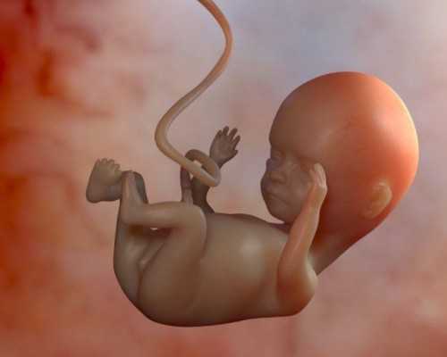 北京供精试管婴儿需要等多久:在北京大学第三医院做供精试管婴儿需要排队等多久？