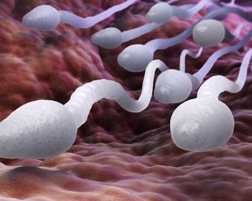 北京女娲代怀机构,2025北京三代试管机构选男女费用要花多少钱