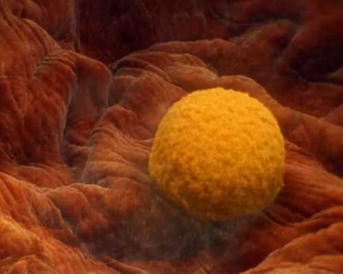 北京试管代孕医院真假,北京妇产医院试管好吗