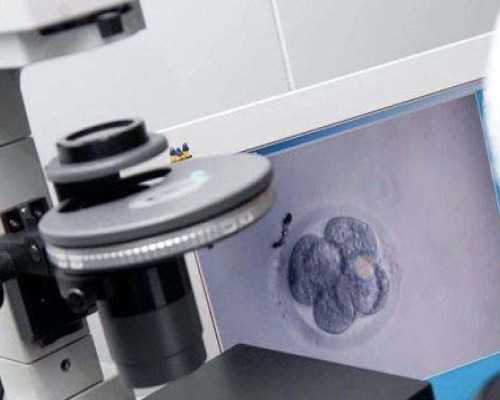 北京供卵代怀公司,2025北京协和做供卵试管婴儿要排队吗？附北京供卵试管医院排名