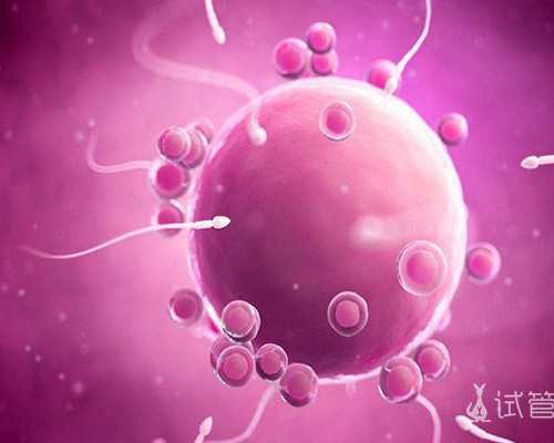 北京专业借卵服务,北京试管婴儿费用是不是纳入医保?北京做试管要不要结婚证? 北京专业借卵服务,北京试管婴儿费用是不是纳入医保?北京做试管要不要结婚证?