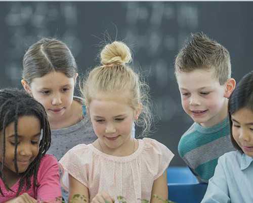 北京专业代生机构,北京权威借卵试管费用明细分析，北京试管婴儿的成功率解读