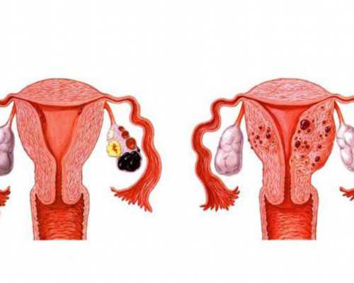 北京哪家代生好,北京试管私立医院排名怎么样？北京私立医院能包生男孩吗