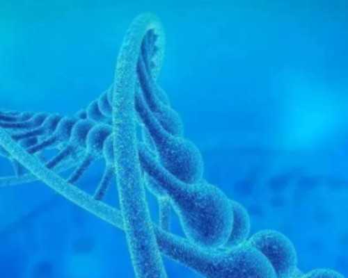 北京正规代孕公司价钱,北京试管婴儿成功率高吗