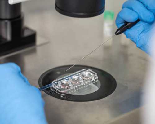 北京代怀网怎么样,北京冻卵费用大约多少,杭州冻卵费用大约多少