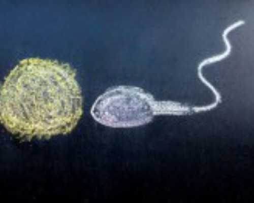 2025南方顺德医院试管婴儿费用，一次多少钱心底有数